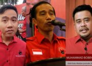 PDIP Resmi Pecat Jokowi, Gibran, dan Bobby