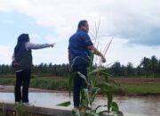 Komisi III Deprov Gorontalo Tinjau Progres Pembangunan Tanggul Sungai Randangan