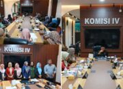 DPRD Gorontalo Perkuat Regulasi Kesetaraan Gender Lewat Ranperda PUG