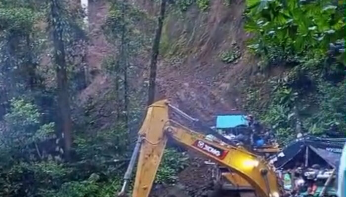 PETI Menggila, Hutan Bugu di Perbatasan Buol–Gorontalo Rusak Parah: GMNI Desak Aparat Bertindak Tanpa Kompromi
