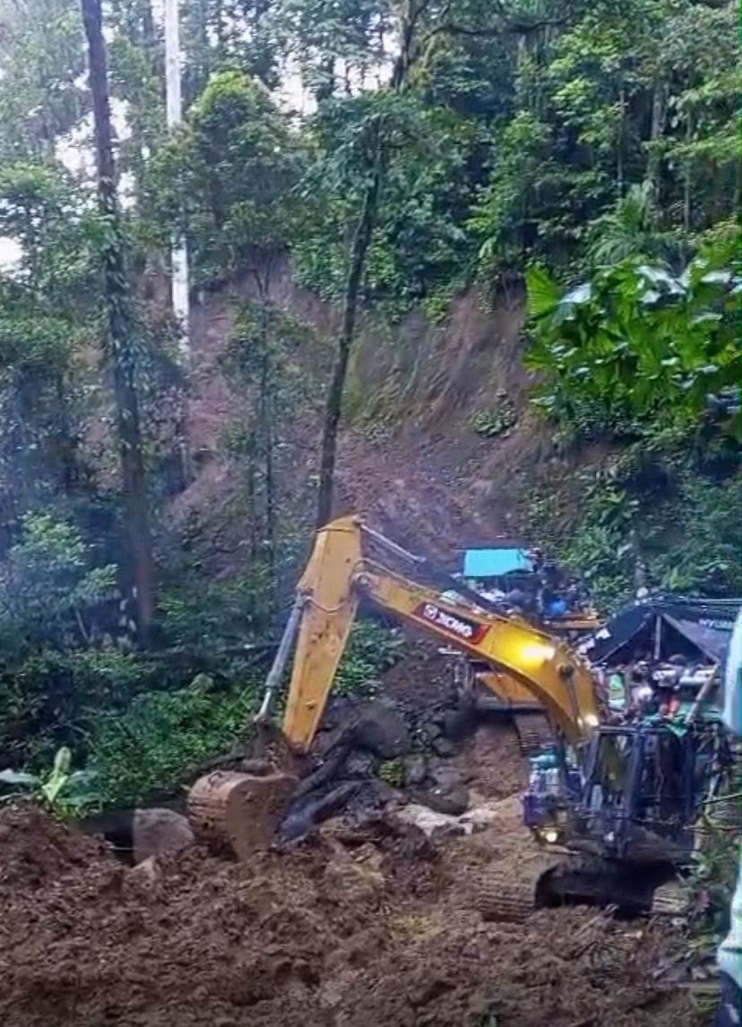 PETI Menggila, Hutan Bugu di Perbatasan Buol–Gorontalo Rusak Parah: GMNI Desak Aparat Bertindak Tanpa Kompromi