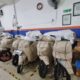 KAI Logistik Siap Layani Pengiriman Motor Pada Periode Arus Balik