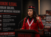 GMNI : Peradaran Rokok Ilegal Harus di Bantai Sampai Tuntas, Jangan Biarkan Ancam Industri dan Rugikan Negara GMNI : Peradaran Rokok Ilegal Harus di Bantai Sampai Tuntas, Jangan Biarkan Ancam Industri dan Rugikan Negara