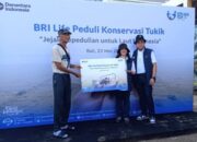 BRI Life Gelar Pelepasan Tukik, Dukung Konservasi Penyu di Pantai Kuta Bali